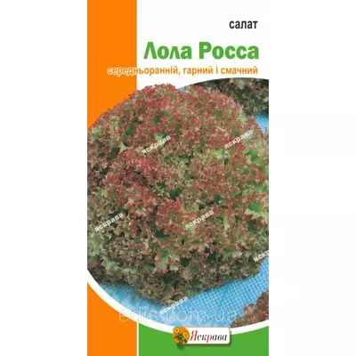 Салат Лола Росса 1 г, насіння Яскрава