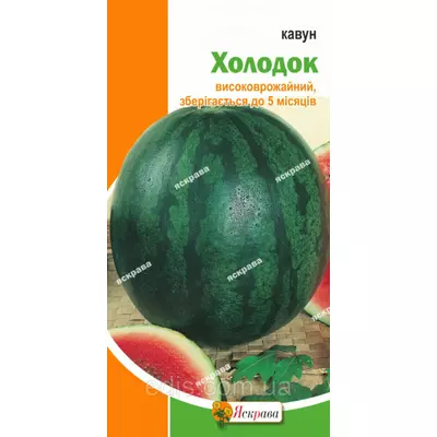 Кавун Холодок 2 г, насіння Яскрава