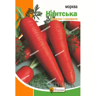 Морква Нантська 20 г, насіння Яскрава