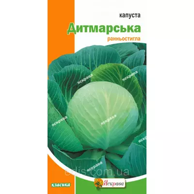 Капуста білочана Дитмарська (рання) 0,5 г