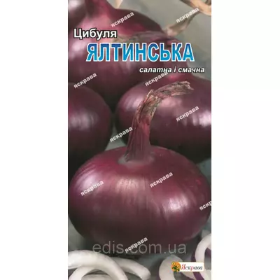 Цибуля Ялтинська (червона) 0,5 г, насіння Яскрава
