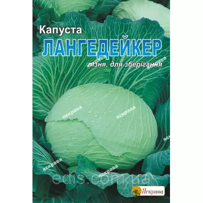 Капуста білоголова Лангедейкер 10 г, насіння Яскрава