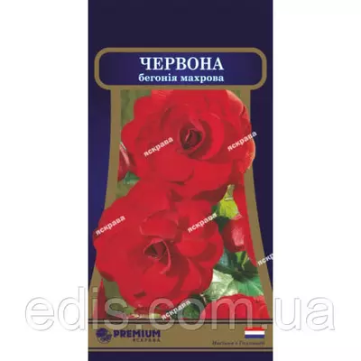 Бегонія махрова Червона F1 10 насінин в оболонці, PREMIUM