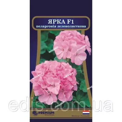 Пеларгонія зеленолистная Ярка F1 5 насінин в оболонці, Яскрава PREMIUM