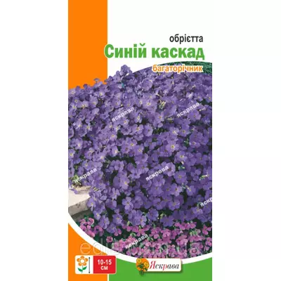 Обрієта Синій каскад 0,1 г, насіння Яскрава