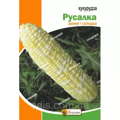 Кукуруза Русалка 20 г, насіння Яскрава