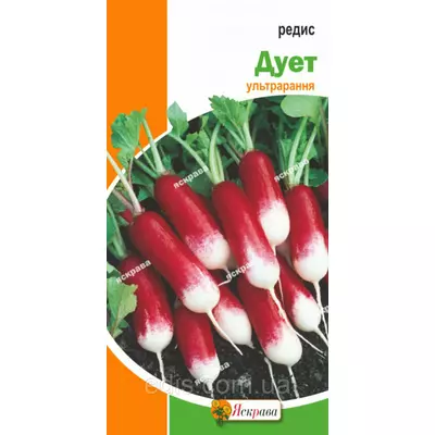 Редис Дует 3 г, насіння Яскрава