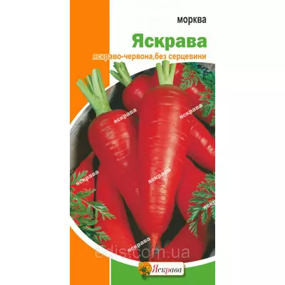 Морква Яскрава 3 г, насіння Яскрава