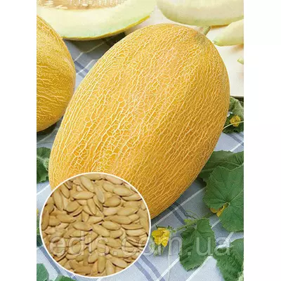 Диня Алушта 100 г, вагове насіння Яскрава