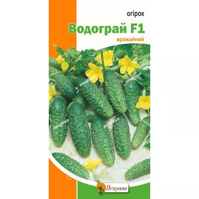 Огірок Водограй F1 0,5 г, насіння Яскрава