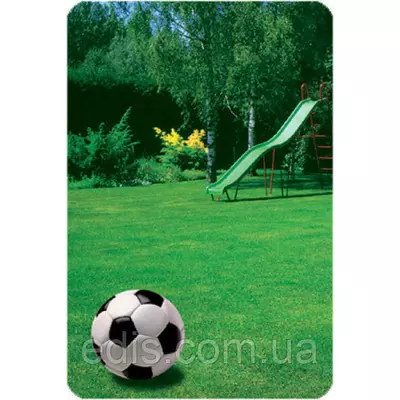 Трава газонна Спортивний газон 1000 г