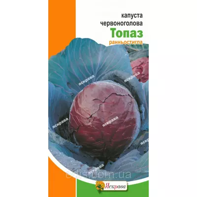 Капуста червоноголова Топаз 0,5 г, насіння Яскрава