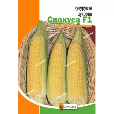 Кукурудза Спокуса F1 20 г, насіння Яскрава