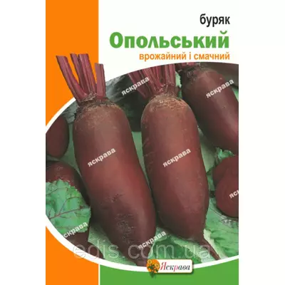 Буряк столовий Опольський 20 г, насіння Яскрава