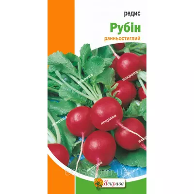 Редис Рубін 3 г, насіння Яскрава