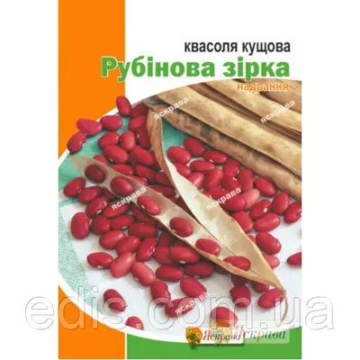 Квасоля Рубінова зірка (суперрання, кущова) 20 г, насіння Яскрава