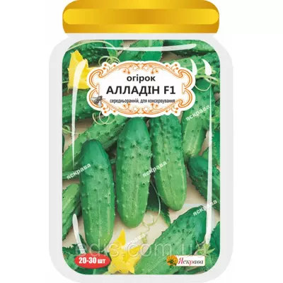 Огірок Алладін F1 (20-30 шт.) дражоване насіння Яскрава