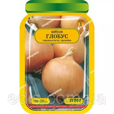 Цибуля Глобус 180-220 шт. інкрустоване насіння Яскрава