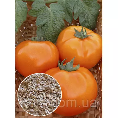 Томат Хурма 20 г , насіння Яскрава