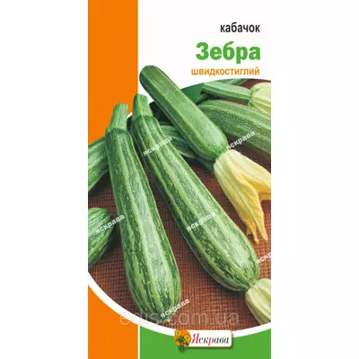 Кабачок Зебра 3 г, насіння Яскрава