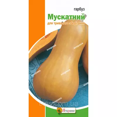 Гарбуз Мускатний 1 г, насіння Яскрава