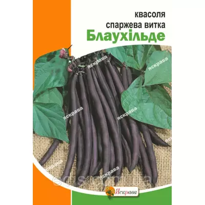 Квасоля Блаухильде (фіолетова, в'юнка) 10 г насіння Яскрава