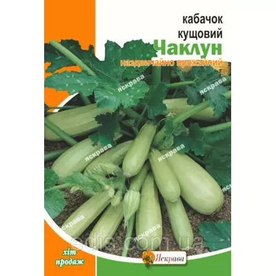 Кабачок Чаклун 20 г, насіння Яскрава