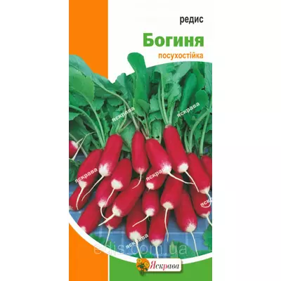 Редис Богиня 3 г, насіння Яскрава