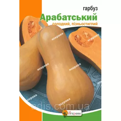 Гарбуз Арабатський 10 г, насіння Яскрава