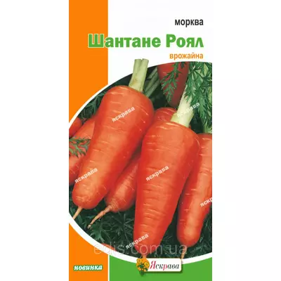 Морква Шантане Роял 3 г, насіння Яскрава
