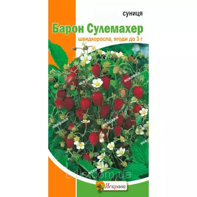 Суниця Барон Сулемахер 0,1 г, насіння Яскрава