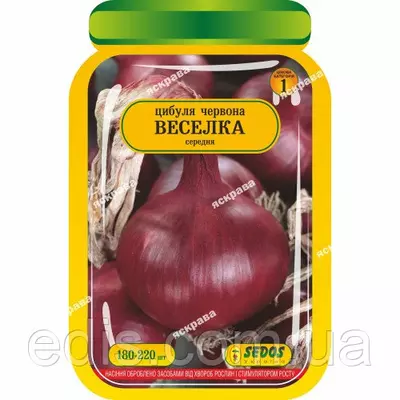 Цибуля Веселка 180-220 шт. інкрустоване насіння Яскрава