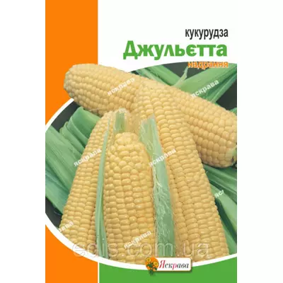 Кукурудза цукрова Джульєтта (суперранняя, низькоросла, кущова) 20 г, насіння Яскрава