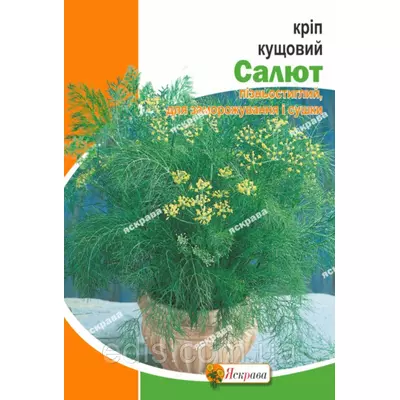 Кріп Салют 20 г, насіння Яскрава