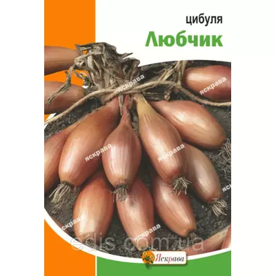 Цибуля Любчик 8 г, насіння Яскрава