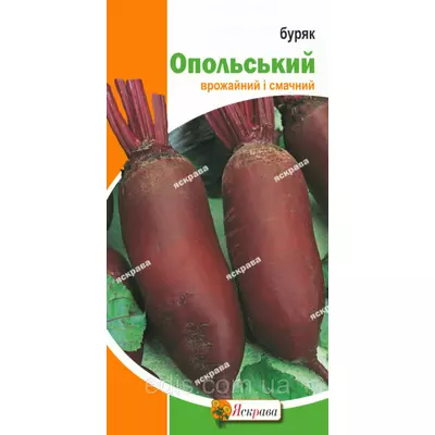 Буряк столовий Опольський 3 г, насіння Яскрава