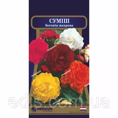 Бегонія махрова Суміш F1 10 насінин в оболонці, Яскрава PREMIUM