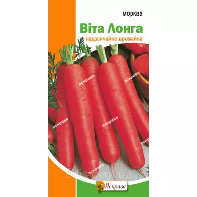 Морква Віта Лонга 2 г, насіння Яскрава