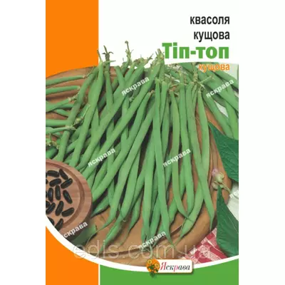 Квасоля Тип-Топ 20 г (кущова), насіння Яскрава