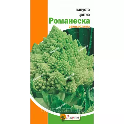 Капуста цвітна Романеско (зелена) 0,3 г, насіння Яскрава