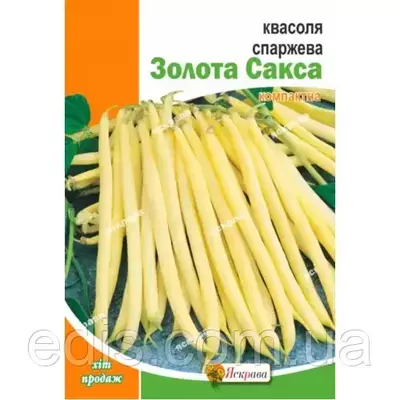 Квасоля Золота Сакса спаржева зелена кущова, 10 г, насіння Яскрава
