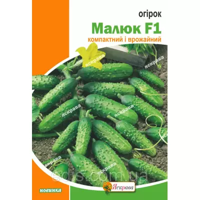 Огірок Малюк 5 г, насіння Яскрава