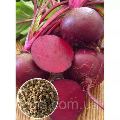 Буряк столовий Детройт 100 г, вагове насіння Яскрава