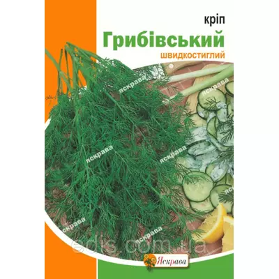 Кріп Грибівський 20 г, насіння Яскрава