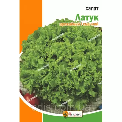 Салат Латук 10 г, насіння Яскрава