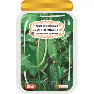 Огірок миникорнишо Син полка F1, 15 шт. дражоване насіння Яскрава