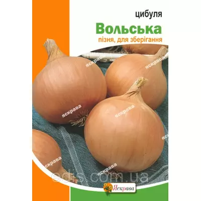 Цибуля Вольська 8 г, насіння Яскрава