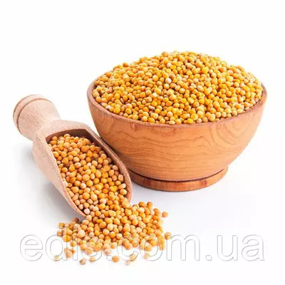 Гірчиця жовта (сидерат) 1кг, насіння Яскрава