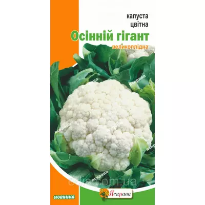 Капуста цвітна Осінній гігант 0,3 г, насіння Яскрава
