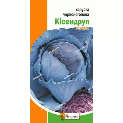 Капуста червоноголова Кісендруп 0,5 г, насіння Яскрава